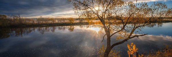 Odbicie, Rzeka Dubna, Łotwa, Łatgalia, Zachód słońca, Drzewo, Chmury, Jesień