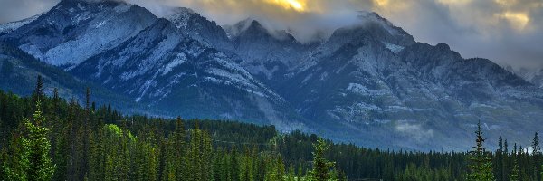 Las, Chmury, Kanada, Prowincja Alberta, Rzeka Bow, Drzewa, Park Narodowy Banff, Góry