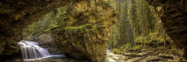 Drzewa, Johnston Canyon, Jaskinia, Park Narodowy Banff, Kanada, Wodospad, Skała