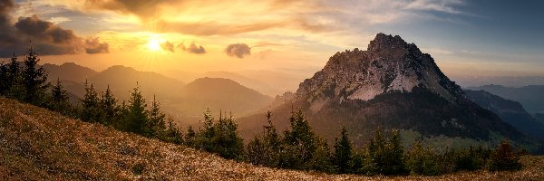 Drzewa, Karpaty, Zachód słońca, Słowacja, Mała Fatra, Góry