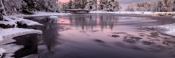 Finlandia, Drzewa, Most, Ośnieżone, Zima, Oulu, Rzeka Oulujoki