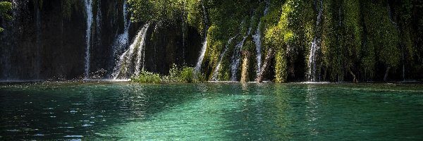 Roślinność, Drzewa, Wodospady, Park Narodowy Jezior Plitwickich, Jezioro, Chorwacja