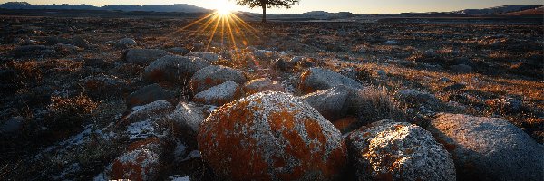 Promienie słońca, Drzewo, Kamienie