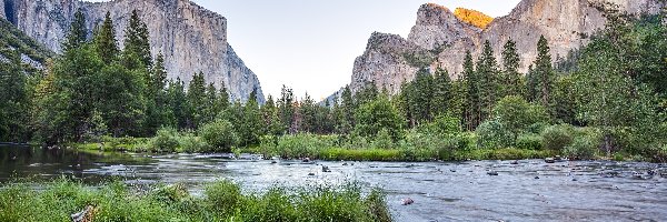 Rzeka Merced, Drzewa, Stany Zjednoczone, Kalifornia, Trawa, Kamienie, Park Narodowy Yosemite, Góry Sierra Nevada