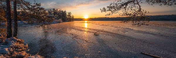 Ringerike, Zachód słońca, Zima, Norwegia, Drzewa, Jezioro