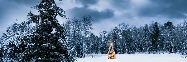 Boże Narodzenie, Świerki, Choinka, Chmury, Śnieg, Zima