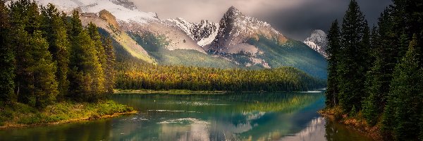Kanada, Lasy, Drzewa, Jezioro Maligne, Park Narodowy Jasper, Prowincja Alberta, Góry