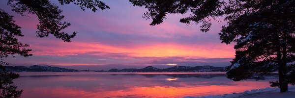Kristiansand, Zachód słońca, Fiord Topdalsfjorden, Norwegia, Drzewa, Zima