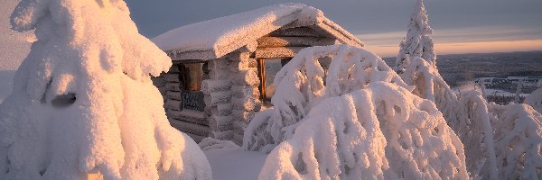 Zima, Drewniany, Drzewa, Śnieg, Dom