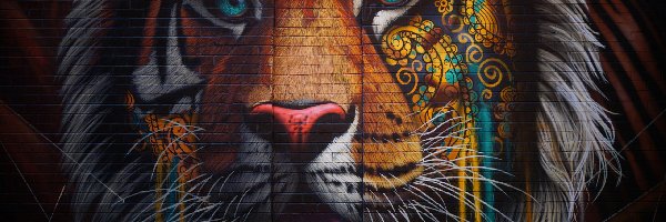 Street art, Tygrys, Ściana