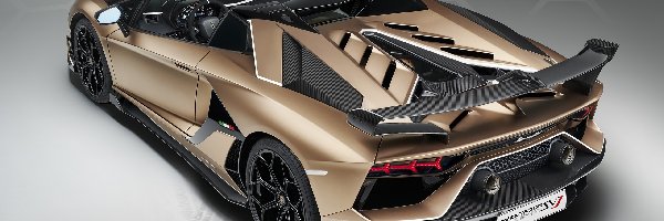 Roadster, Lamborghini Aventador SVJ, 3D