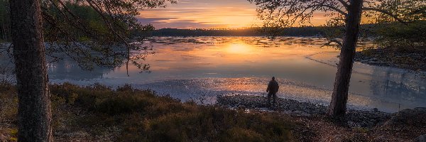 Jezioro, Zachód słońca, Drzewa, Norwegia, Ringerike