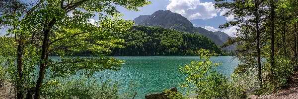 Drzewa, Góry, Jezioro Leopoldsteinersee, Chmury, Styria, Austria