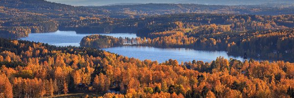 Jezioro, Lasy, Szwecja, Gmina Arvika, Drzewa, Lake Gunnern, Gunnarskog, Jesień