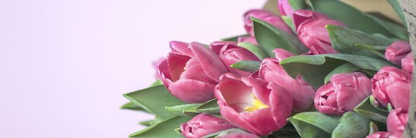 Tulipany, Bukiet, Kwiaty, Różowe