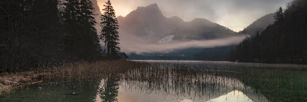 Mgła, Leopoldsteinersee, Drzewa, Austria, Jezioro, Góry