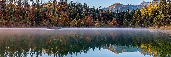 Las, Lake Cresta, Szwajcaria, Kanton Gryzonia, Góry, Drzewa, Jesień, Jezioro