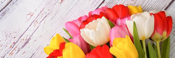 Kwiaty, Tulipany, Kolorowe, Deski, Białe