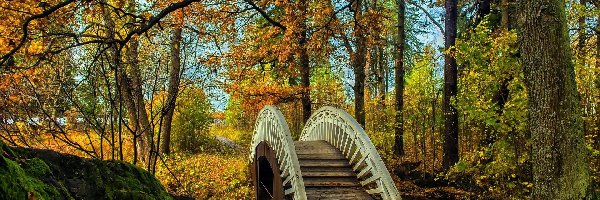 Park, Mostek, Drzewa, Jesień, Rzeczka