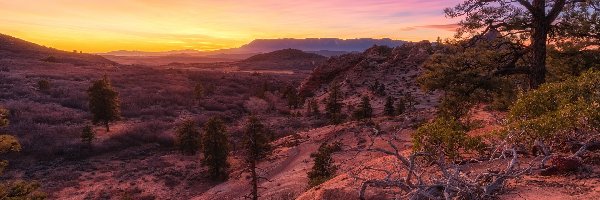 Stan Utah, Zachód słońca, Park Narodowy Zion, Stany Zjednoczone, Drzewa, Góry