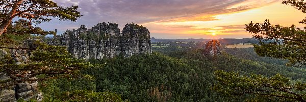 Formacja Bastei, Park Narodowy Saskiej Szwajcarii, Sosna, Wschód słońca, Skały, Góry Połabskie, Lasy, Niemcy