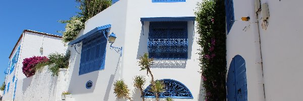 Tunezja, Niebieskie, Okna, Dom, Biały, Sidi Bou Said, Drzwi