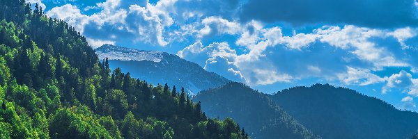 Kaukaz, Drzewa, Gruzja, Abchazja, Góry, Wzgórza, Chmury, Jezioro Rica