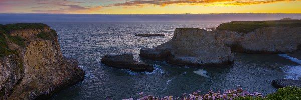 Hrabstwo Santa Cruz, Ocean Spokojny, Stany Zjednoczone, Davenport, Skały, Kwiaty, Zachód słońca, Morze, Wybrzeże, Kalifornia