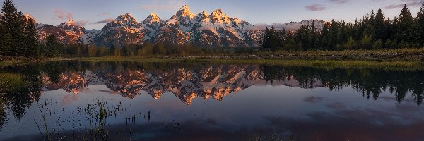 Drzewa, Stan Wyoming, Odbicie, Las, Ośnieżone, Góry Skaliste, Szczyt Grand Teton, Stany Zjednoczone, Park Narodowy Grand Teton, Jezioro