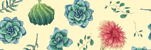 Liście, Tekstura, Kaktusy, Kwiaty