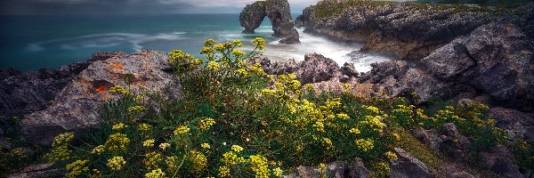 Playa de La Huelga, Wybrzeże, Kwiaty, Łuk skalny, Morze, Hiszpania, Asturia, Skały, Gmina Hontoria