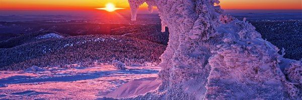 Zachód słońca, Ośnieżone Drzewo, Śnieg, Zima