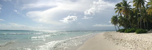 Palmy, Plaża, Morze, Promienie słońca, La Altagracia, Dominikana