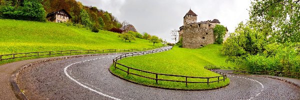 Droga, Vaduz, Zamek w Vaduz, Drzewa, Liechtenstein, Księstwo