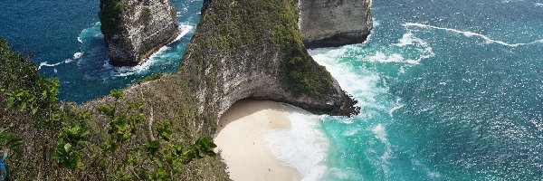 Indonezja, Plaża Kelingking Beach, Morze, Skały, Klif, Nusa Penida, Roślinność