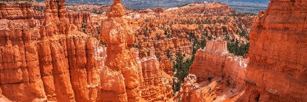 Chmury, Park Narodowy Bryce Canyon, Formacje skalne, Stan Utah, Stany Zjednoczone, Roślinność, Skały