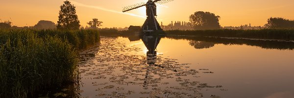 Kanał, Młyn Oudendijkse Molen, Holandia, Overslingeland, Rzeka Giessen, Lilie wodne, Wschód słońca, Wiatrak