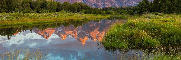Odbicie, Park Narodowy Grand Teton, Pasmo górskie Teton, Stan Wyoming, Stany Zjednoczone, Drzewa, Jezioro