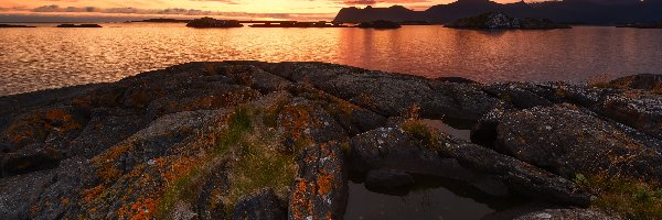 Wyspa Senja, Skały, Rośliny, Norwegia, Morze, Zachód słońca