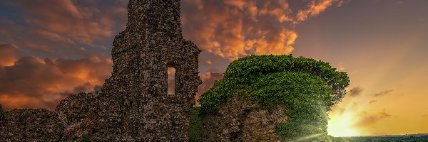 Anglia, Winorośl, Ruiny, Chmury, Zachód słońca, Hrabstwo Dorset, Zamek w Corfe Castle