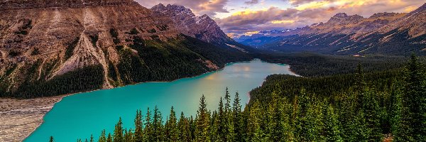 Drzewa, Lasy, Chmury, Canadian Rockies, Góry, Kanada, Alberta, Jezioro Peyto Lake, Park Narodowy Banff