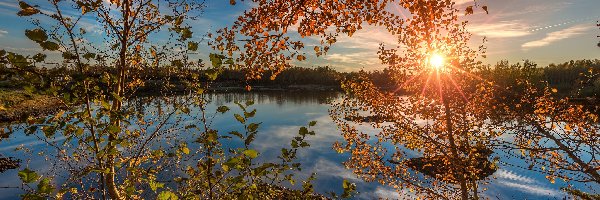 Jezioro, Las, Drzewa, Promienie słońca, Jesień