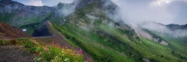 Kwiaty, Droga, Kaukaz, Aibga Ridge, Góry, Rosja, Kraj Krasnodarski, Chmury, Zbocze