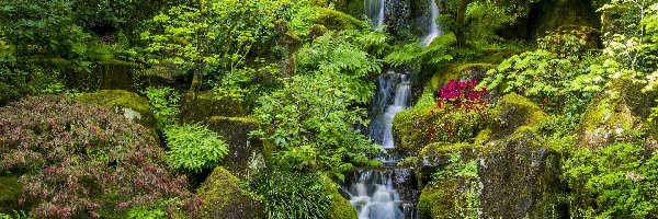 Portland, Drzewa, Stany Zjednoczone, Portland Japanese Garden, Roślinność, Wodospad, Skały, Ogród japoński, Krzewy, Stan Oregon