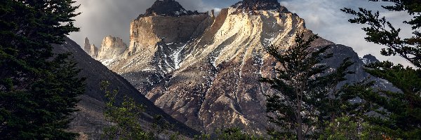 Skała, Rzeka, Cordillera del Paine, Góry, Park Narodowy Torres Del Paine, Chile, Patagonia, Masyw Torres del Paine, Drzewo