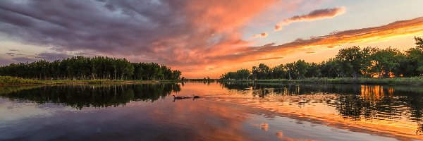Chatfield State Park, Kolorado, Zachód słońca, Drzewa, Park stanowy, Jezioro, Chatfield Lake, Stany Zjednoczone