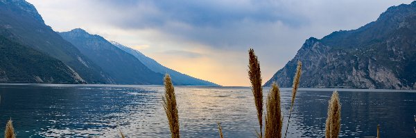 Jezioro, Góry, Lake Garda, Włochy, Trawa