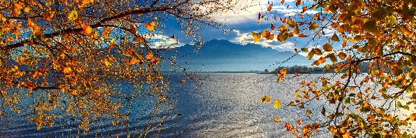Bawaria, Jezioro Chiemsee, Alpy Salzburskie, Niemcy, Drzewa, Jesień