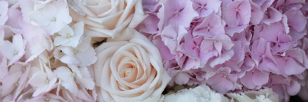 Róże, Hortensje, Kwiaty