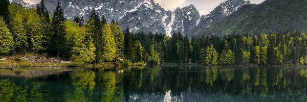 Lago di Fusine, Jezioro, Las, Alpy Julijskie, Góry, Włochy, Prowincja Udine, Drzewa, Chmury
